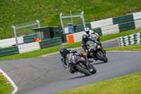 cadwell-no-limits-trackday;cadwell-park;cadwell-park-photographs;cadwell-trackday-photographs;enduro-digital-images;event-digital-images;eventdigitalimages;no-limits-trackdays;peter-wileman-photography;racing-digital-images;trackday-digital-images;trackday-photos